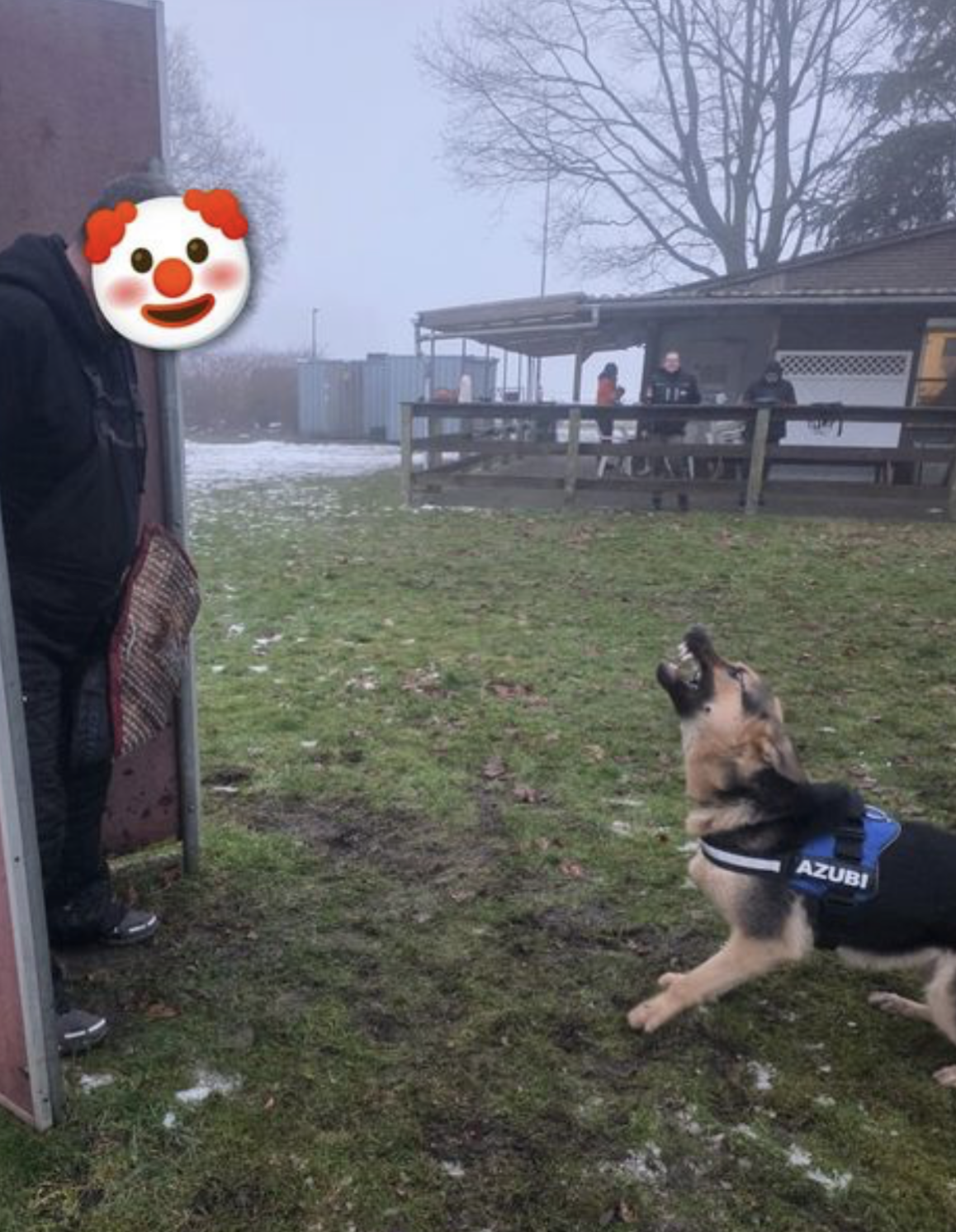 Caafke vom Hof Rado